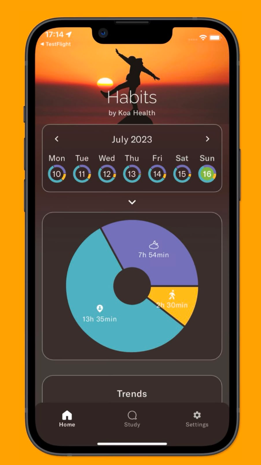 Koa Habits app daily overview