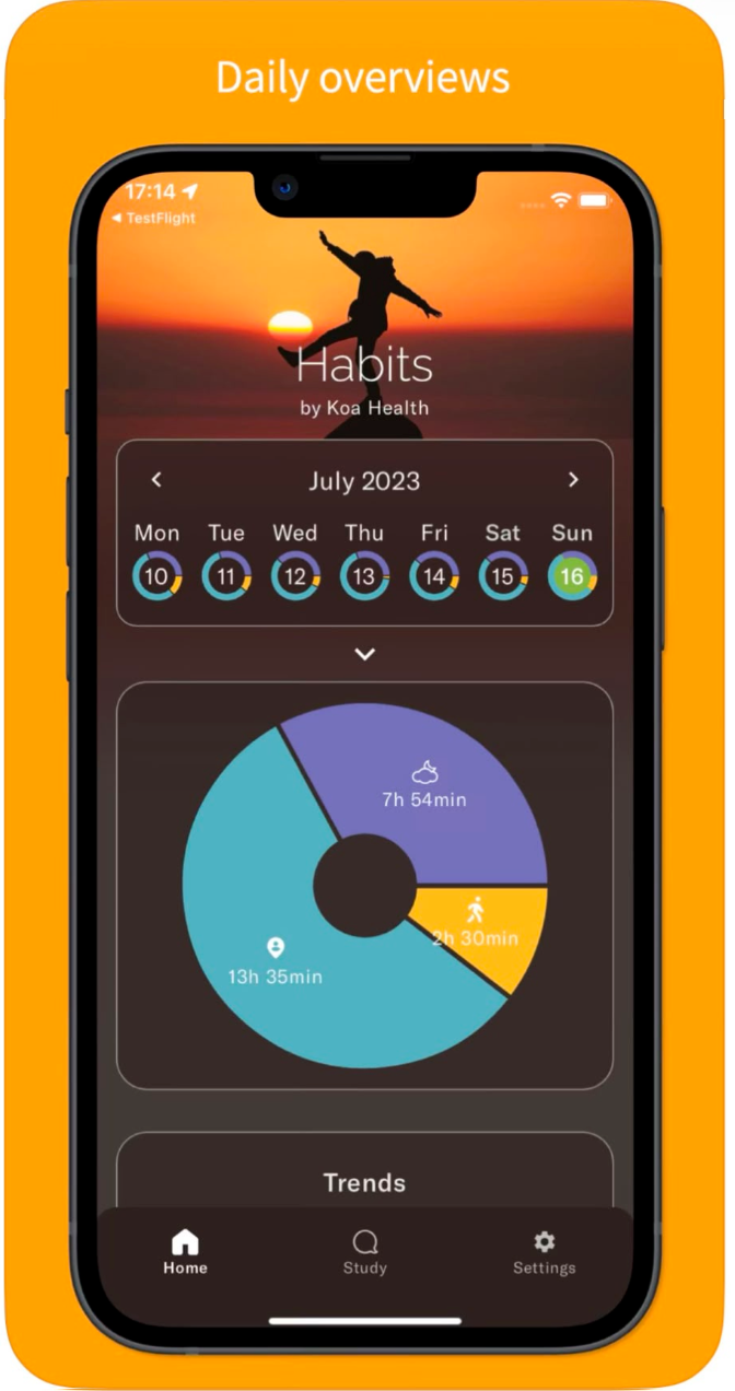 Koa Habits daily overview